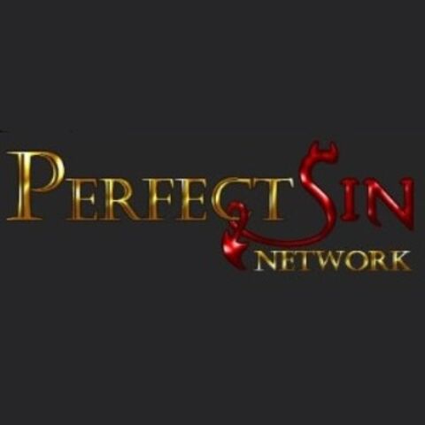 Perfect Sin Network