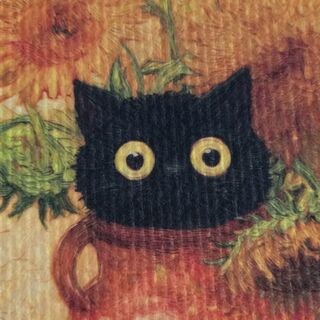 Aurora Willows Mobility Coach