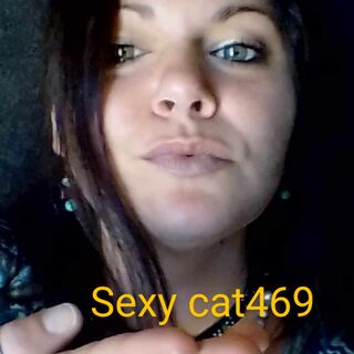 Sexy cat469