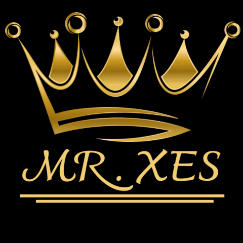 Mr_XES