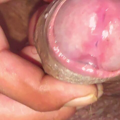 Faphouse