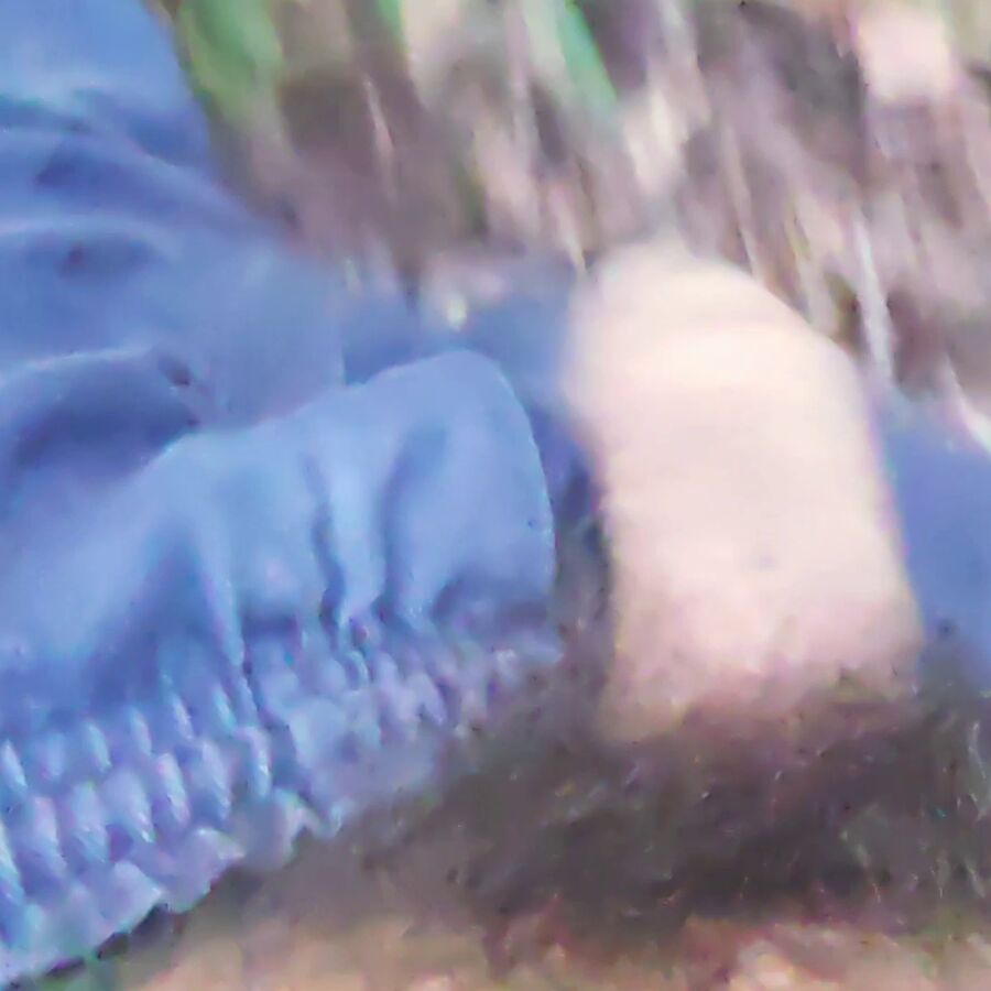 Faphouse