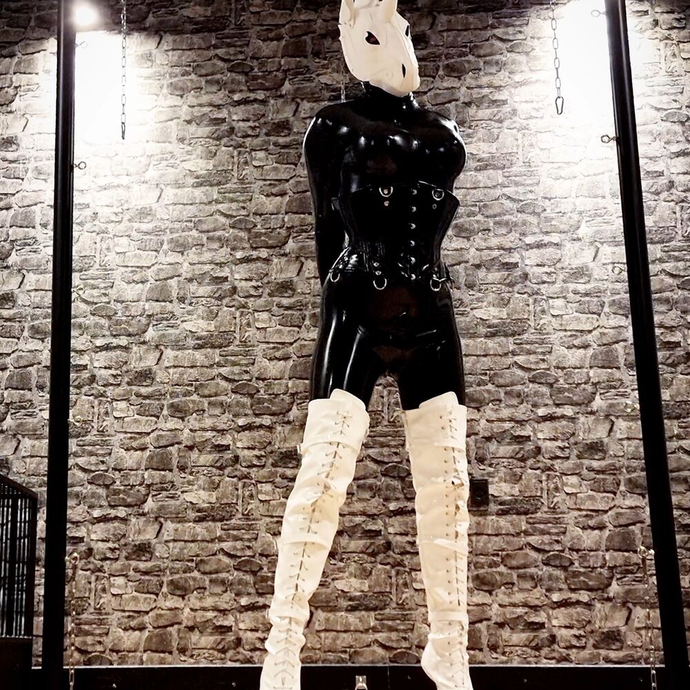 Faphouse