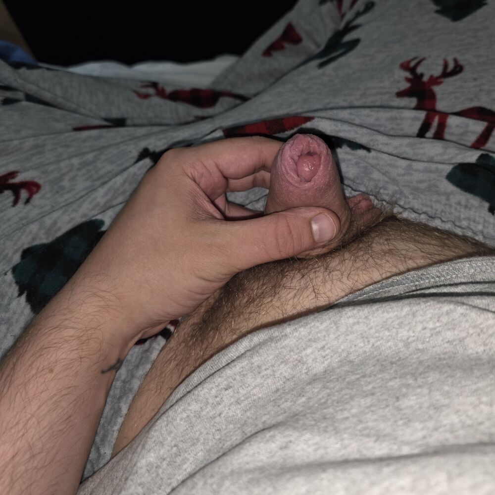 Faphouse