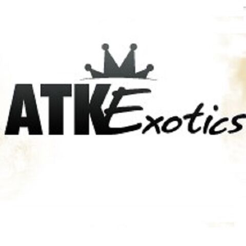 ATK Exotics