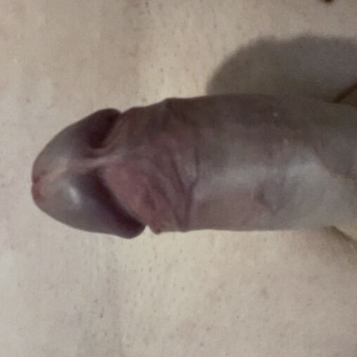 Faphouse