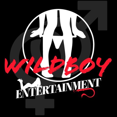 WildBoy Entertainment Studio