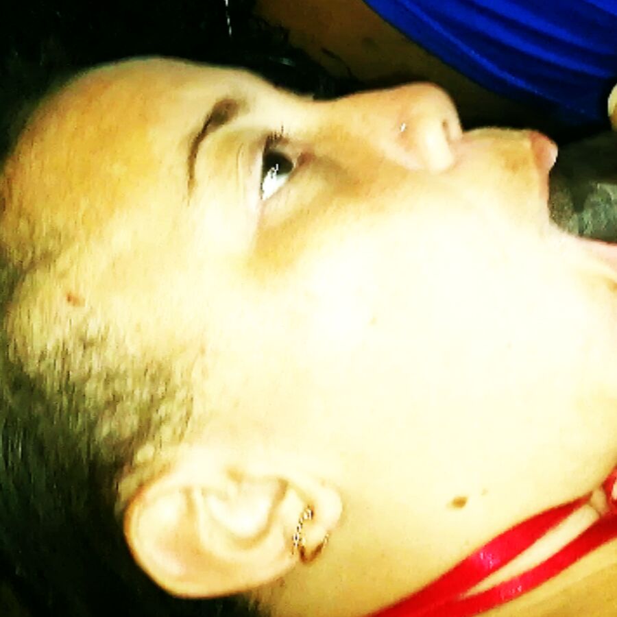 Faphouse