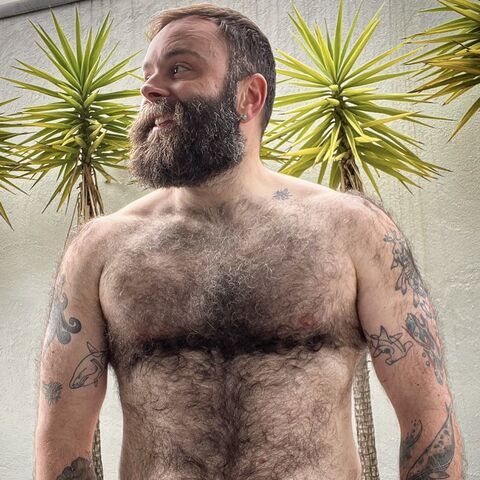 Teddy Wilder