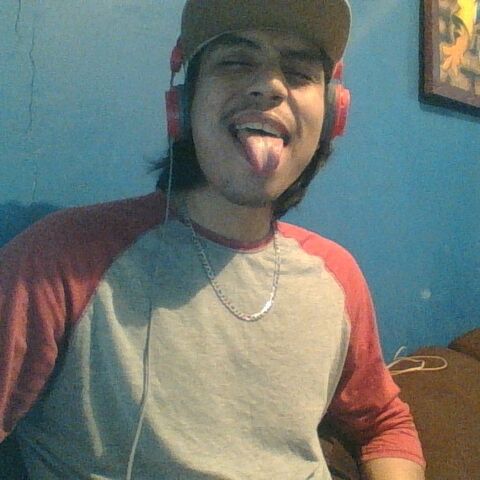 Faphouse