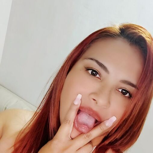 Faphouse