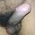 Desi plus sex