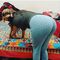 Swetasingh