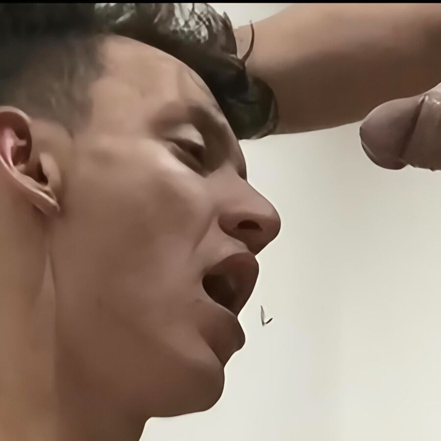 Faphouse