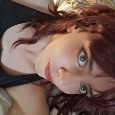 Gaped Meraki studio