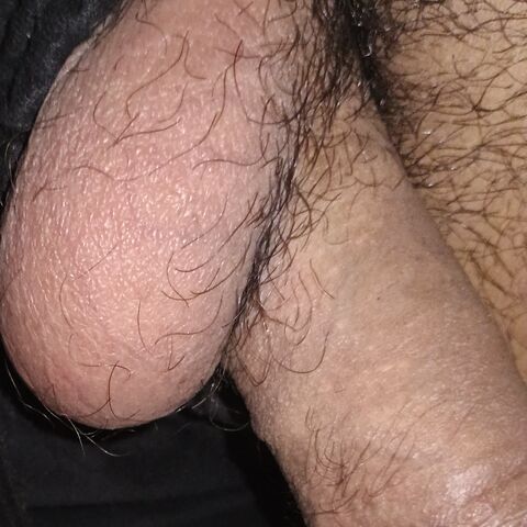 Indian big