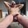 Man cock