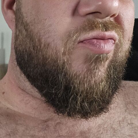 Beard Bear Hard