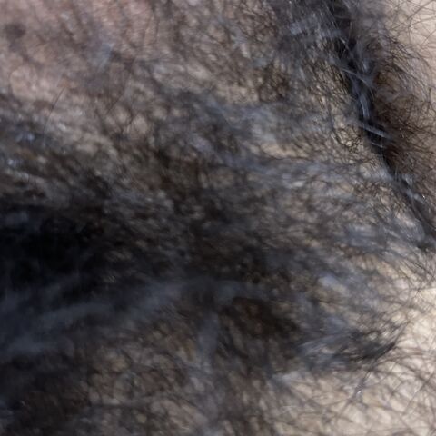 Hairy sam