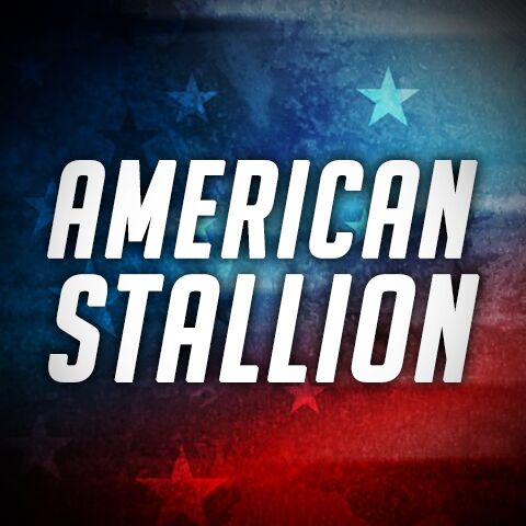 American Stallion