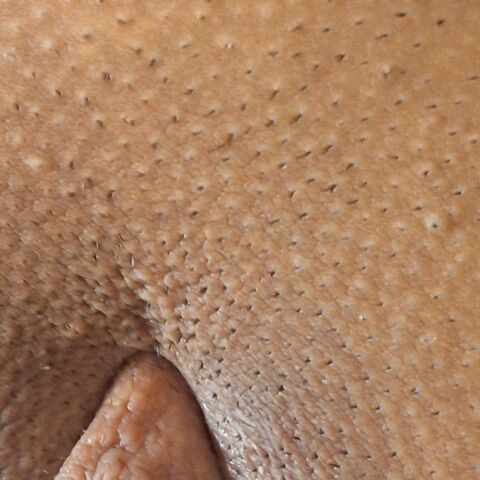 maverickblazesterlingprivate