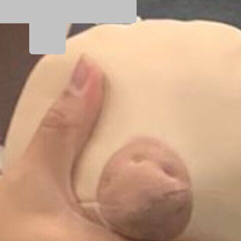Faphouse