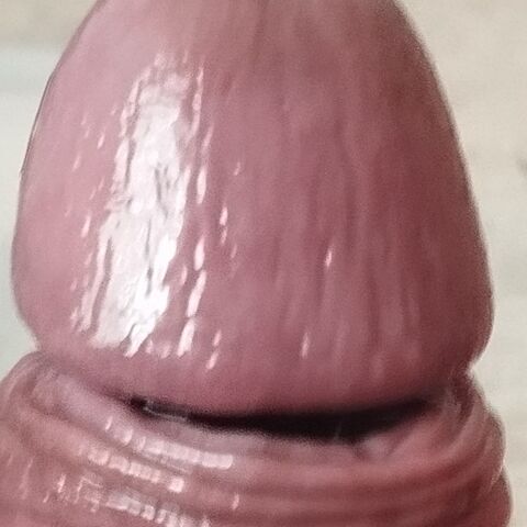 Faphouse