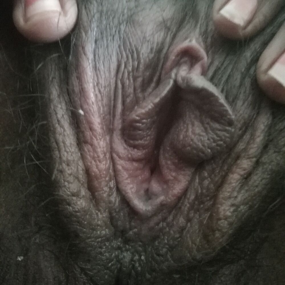 Faphouse