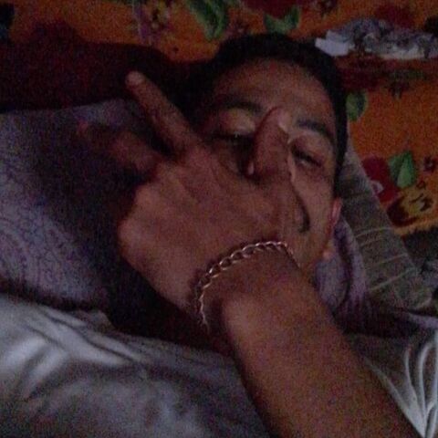 Novin do job