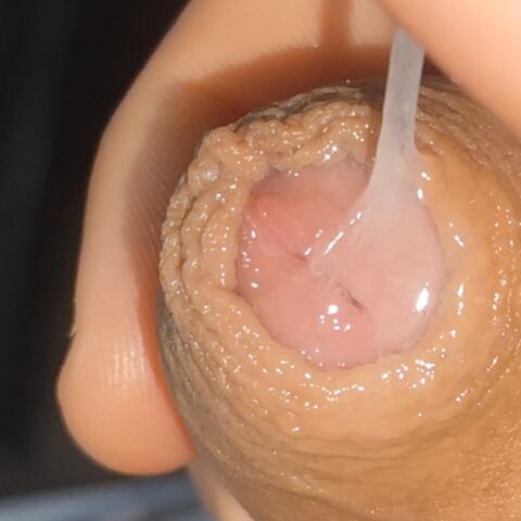Faphouse