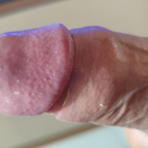 Faphouse