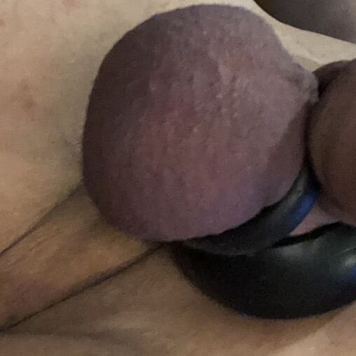 Faphouse
