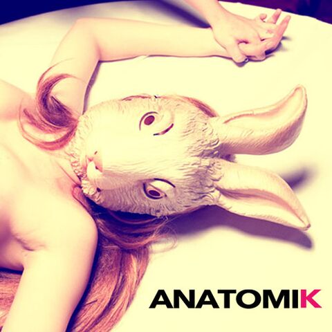 Anatomik Media