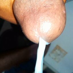 Faphouse
