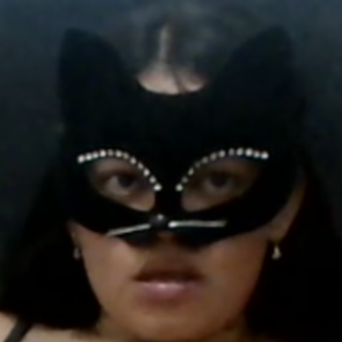 Brazilian catwomen