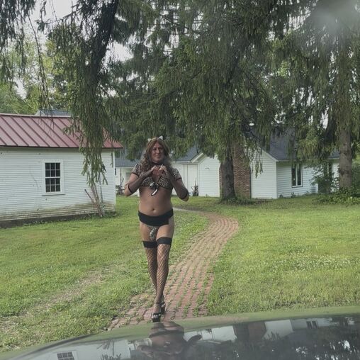 Faphouse