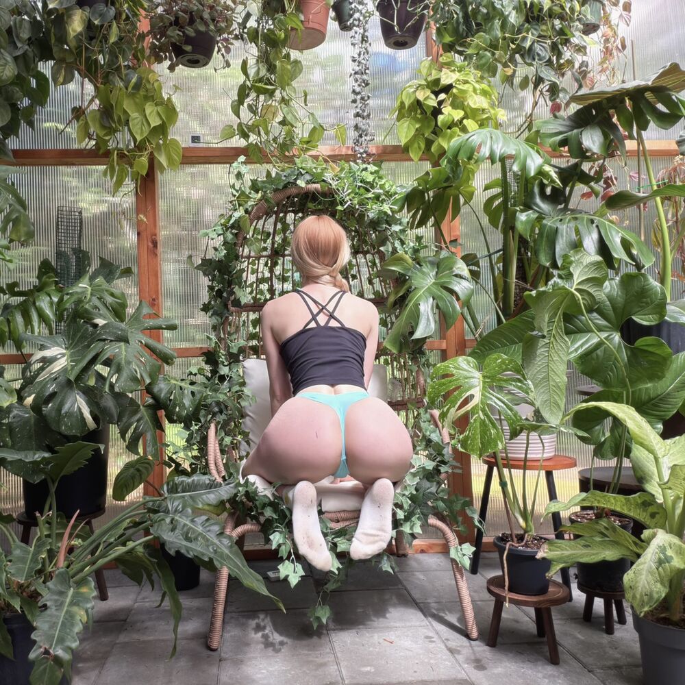 Faphouse