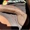 BigDickEnergy