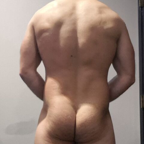 Dylf_503