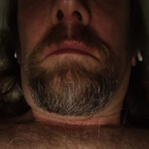 Bald fun00