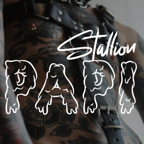Stallion papi