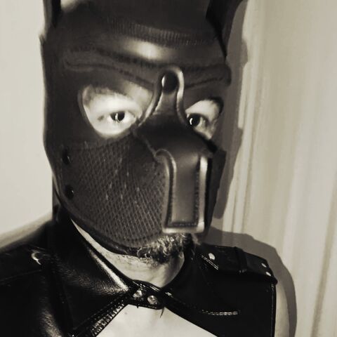 Gay pussy fucker