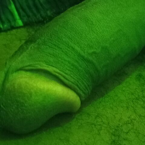 Jamaican black cock