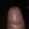 Desisex997