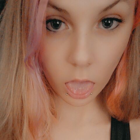 Harley Vix