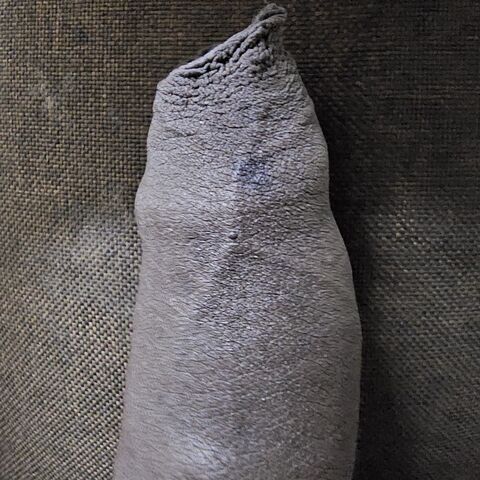 Black dick mole