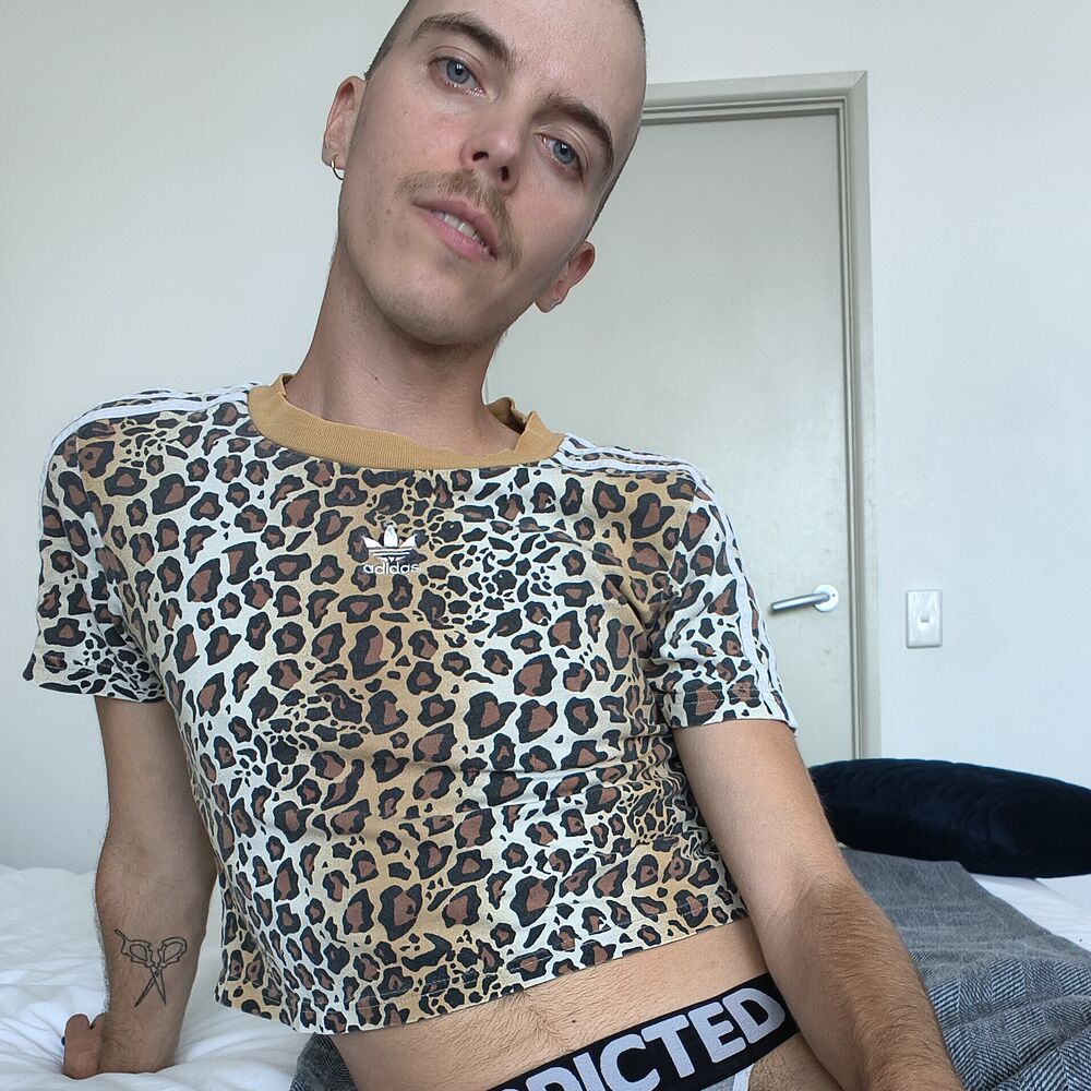 Faphouse