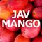 Javmango