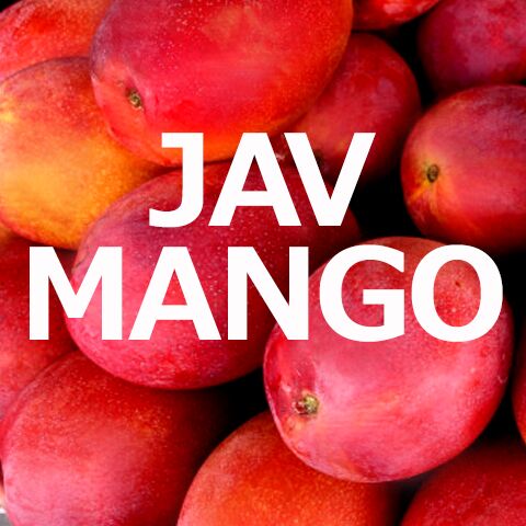Javmango