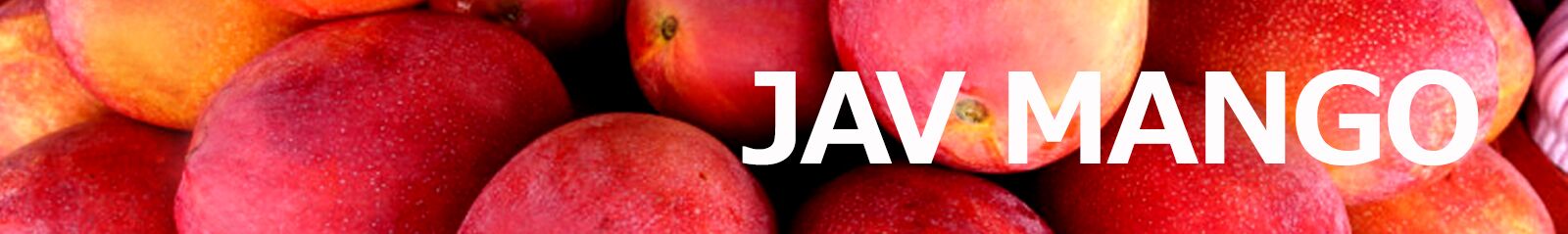 Javmango